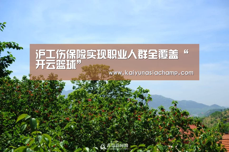 开云篮球