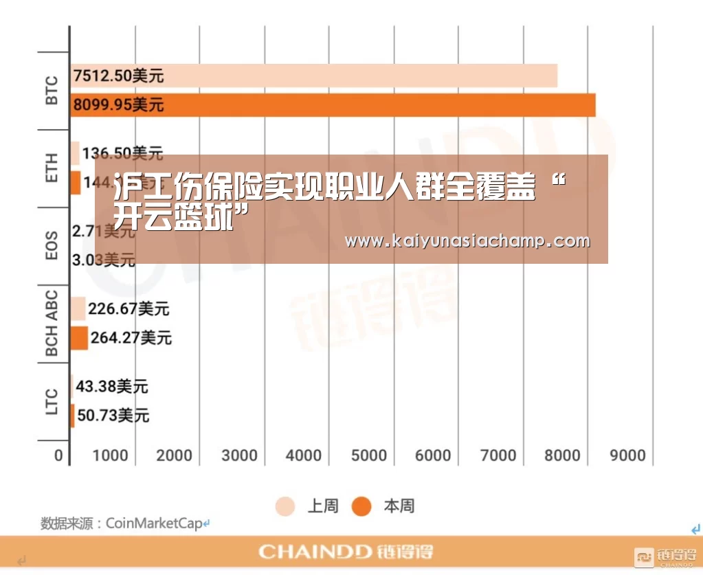 开云百家乐