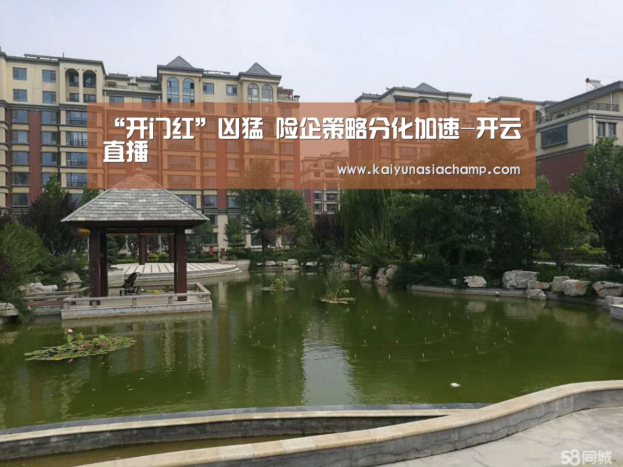 “开门红”凶猛 险企策略分化加速-开云直播(图1) 开云篮球