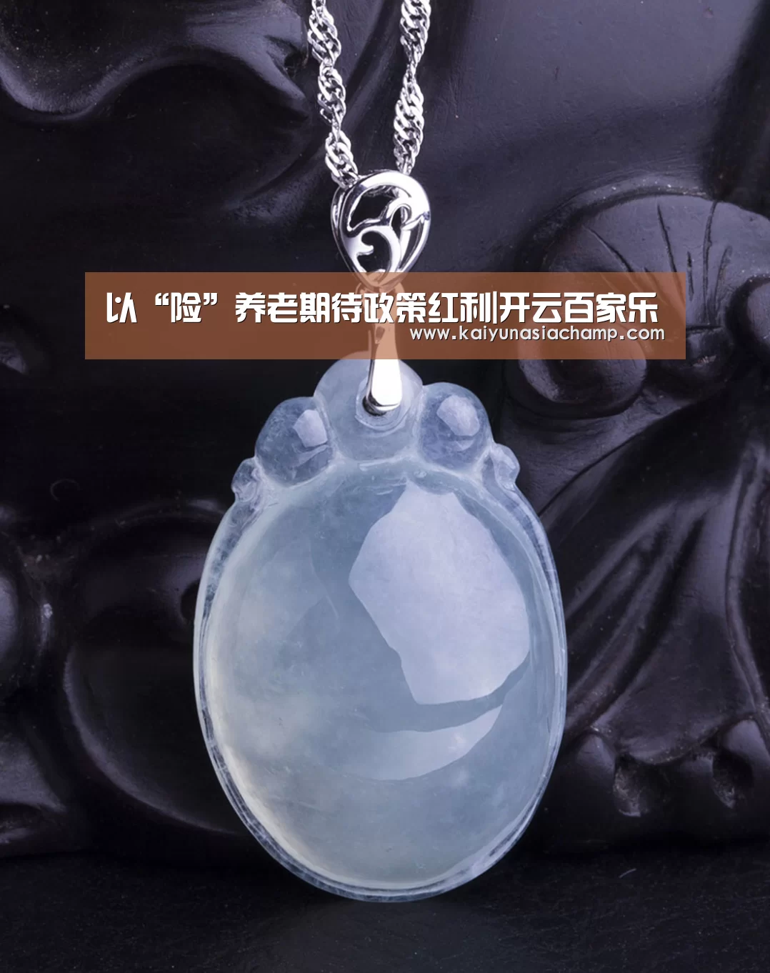 以“险”养老期待政策红利|开云百家乐(图2) 开云篮球