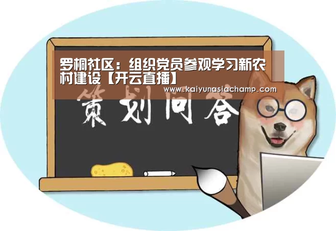 开云百家乐